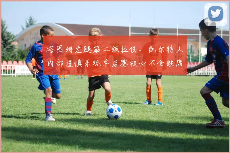 塔图姆左腿筋二级拉伤,凯尔特人内部谨慎乐观季后赛核心不会缺席