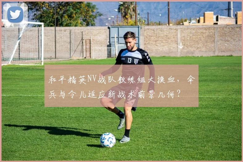 和平精英NV战队教练组大换血,伞兵与令儿适应新战术前景几何?